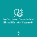 Nefes, İnsan Bedenindeki Birinci Detoks Sistemidir